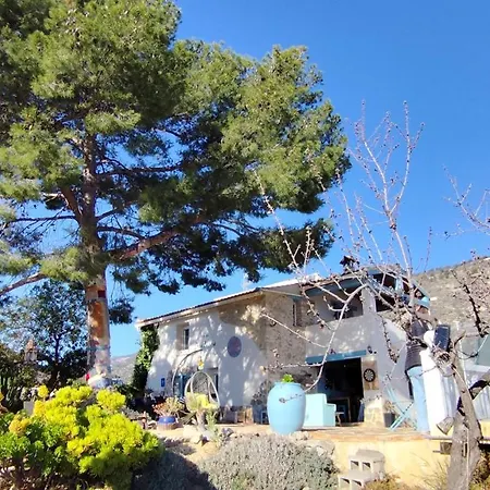 Casa Pura Vida Bed and breakfast