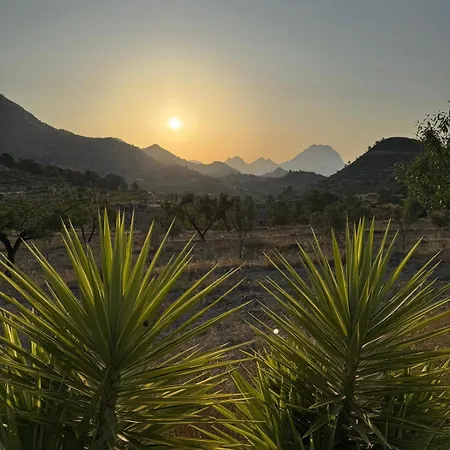 Casa Pura Vida Oda ve Kahvaltı *