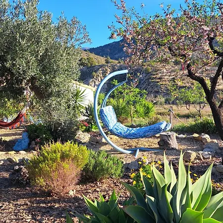 Casa Pura Vida B&B