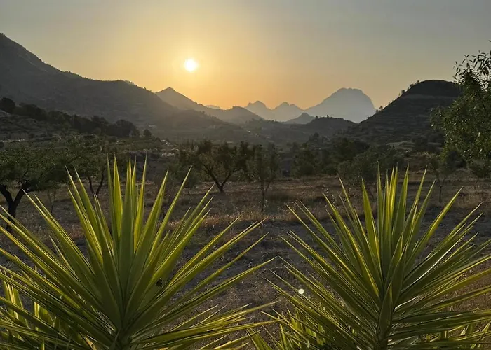 Casa Pura Vida Bed and breakfast *