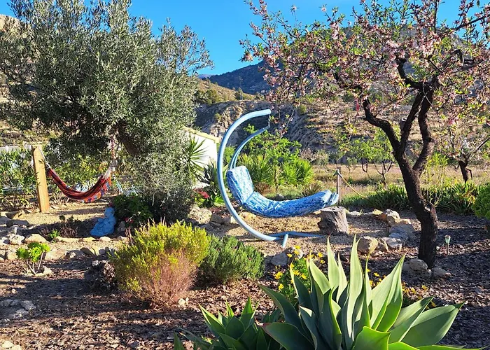 Casa Pura Vida B&B